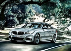 BMW, Seria 3, Gran, Turismo, Droga, Drzewa