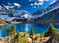 Kanada, Park Narodowy Yoho, Góry, Jezioro McArthur Lake, Świerki, Światło, Cień