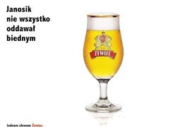 Piwo, Piwo Żywiec, piana