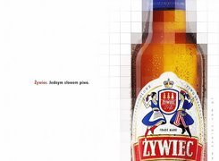 Piwo, Piwo Żywiec