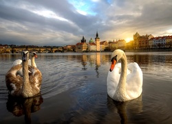 Łabędzie, Miasto, Rzeka