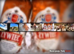 Piwo, Piwo Żywiec