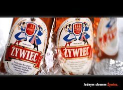 Piwo, Piwo Żywiec, butelki