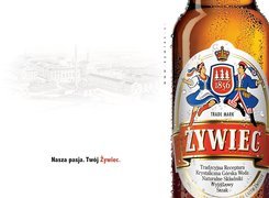 Piwo, Piwo Żywiec