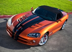 Dodge Viper SRT10, Roadster