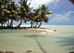 Morze, Laguna, Palmy, Kiribati