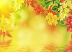 Kolorowe, Liście, Jesień