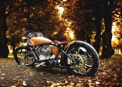 Harley-Davidson