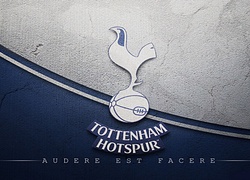 Tottenham Hotspur, piłka nożna, sport