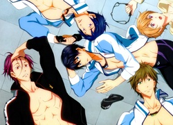 Free! - Iwatobi Swim Club, anime, torsy, chłopcy