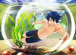 Free! - Iwatobi Swim Club, Nanase Haruka, anime, akwarium