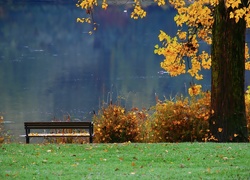 Jesień, Jezioro, Ławka, Park