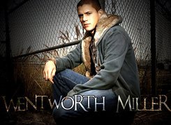 Wentworth Miller, szara bluza