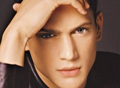 Wentworth Miller, szare oczy