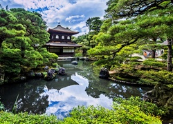 Ogród, Japoński, Staw, Świątynia