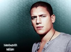 Wentworth Miller, szara koszulka