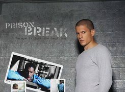 Wentworth Miller, szara bluzka