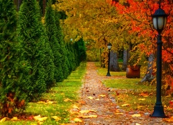 Jesień, Park, Ścieżka, Latarnie