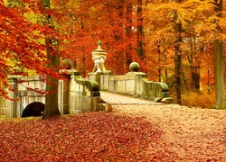 Jesień, Park, Mostek, Liście