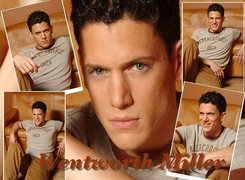 Wentworth Miller, szare oczy