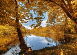 Park, Jeziorko,  Jesień