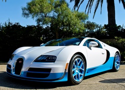 Bugatti Veyron, Palmy