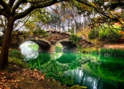 Stany Zjednoczone, San Francisco, Park Golden Gate, Rzeka, Most, Drzewa, Jesień