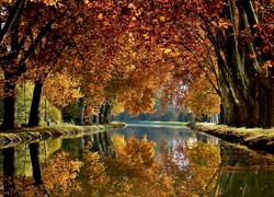 Jesień, Park, Rzeka
