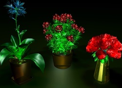 Kolorowe, Kwiaty, Grafika 3D