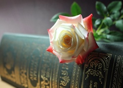 Biało, Różowa, Róża, Książka