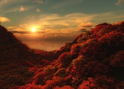 Zachód słońca, Lasy, Jesień, Wzgórza