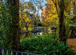 Park, Rzeczka, Mostek, Jesień