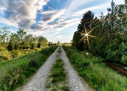 Lato, Polna droga, Drzewa, Promienie słońca