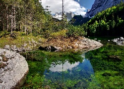 Jezioro, Gosau, Las, Góry, Światło, Cień, Odbicie