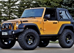 Jeep, Wrangler, Droga