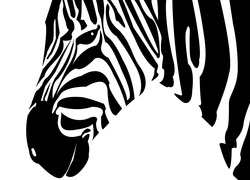 Zebra, 2D