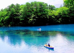 Jezioro, Drzewa, Łódki, Japonia