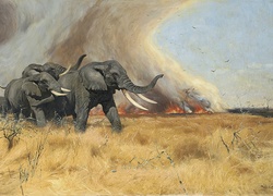 Słonie, Pożar, Ogień, Sawanna, Malarstwo, Obraz