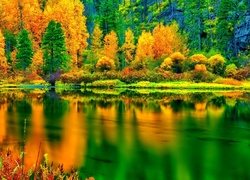 Las, Jezioro, Kolorowe, Liście