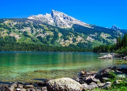 Stany Zjednoczone, Stan Wyoming, Park Narodowy Grand Teton, Góry Teewinot Mountain, Jezioro Jenny Lake, Kamienie