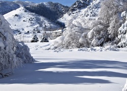 Zima, Śnieg, Góry, Las, Ośnieżone, Drzewa, Świerki