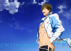 Free!, Makoto, Tachibana