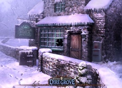 Mystery Case Files, Dire Grove