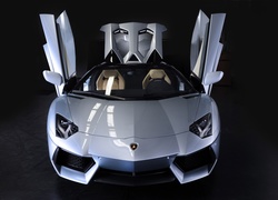 Lamborghini, Aventador, LP 700-4, Roadster
