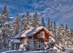 Zima, Śnieg, Dom, Drzewa