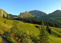 Łąka, Las, Góry