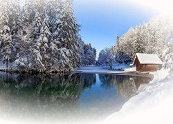 Zima, Śnieg, Jezioro, Domek, Drzewa