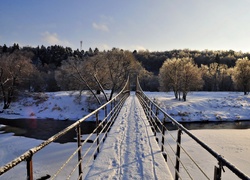 Drewniany, Most, Zamarznięta, Rzeka, Śnieg, Drzewa