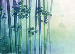 Pędy, Bambus