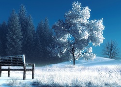 Zima, Drzewa, Ławka, Art